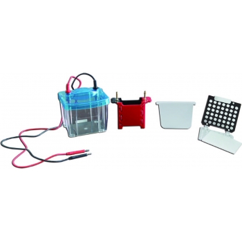 北京六一 DYCZ-40G型 转印电泳仪