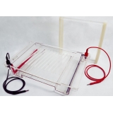 北京六一 DYCP-32C型 琼脂糖水平电泳仪（大号）