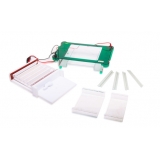 北京君意东方JY-SPGT型 水平电泳槽