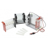 北京君意东方JY-SX3型 双向电泳槽