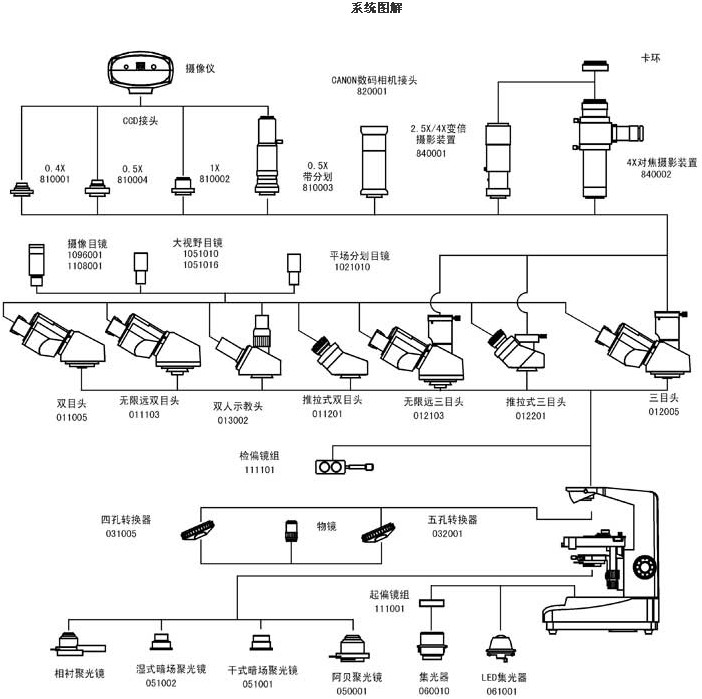 上海缔伦光学TL1803A三目生物显微镜