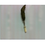 宁波新芝野外用手持告诉匀浆机S10-50