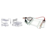 百晶生物BG-subMIDI多用途水平电泳仪