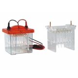 百晶生物BG-tubeMINI管式电泳仪