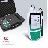 手持式溶解氧仪Bante821