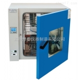上海慧泰电热恒温鼓风干燥箱DHG-9050A